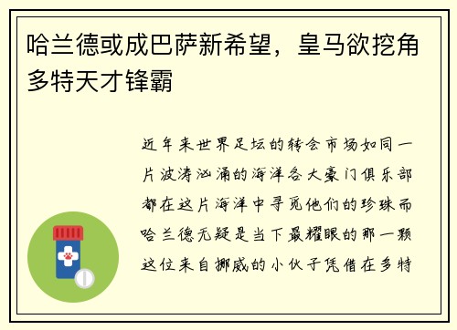 哈兰德或成巴萨新希望，皇马欲挖角多特天才锋霸