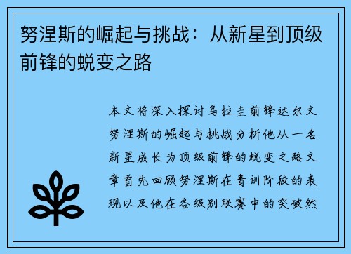 努涅斯的崛起与挑战：从新星到顶级前锋的蜕变之路