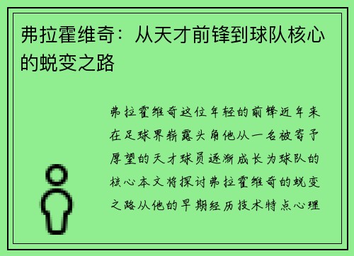 弗拉霍维奇：从天才前锋到球队核心的蜕变之路